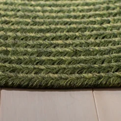 Braided BRD315 Hand Woven Area Rug - Safavieh